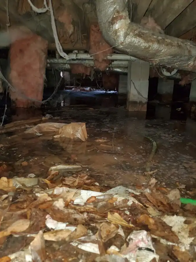 Crawl space flood assessment for Leak Detection & Repair in Upper Southampton